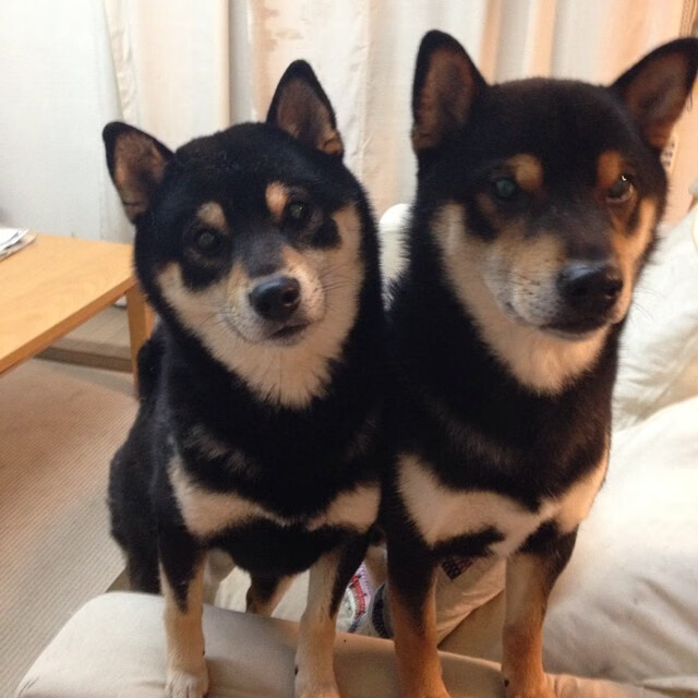 体育新闻中心发布体育类图文内容创作白皮书，体育新闻作品