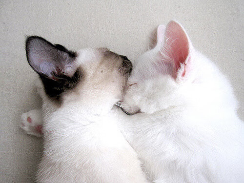 乐鱼体育App下载-体育新闻中心持续拓展国际合作版图，国际体育比赛新闻