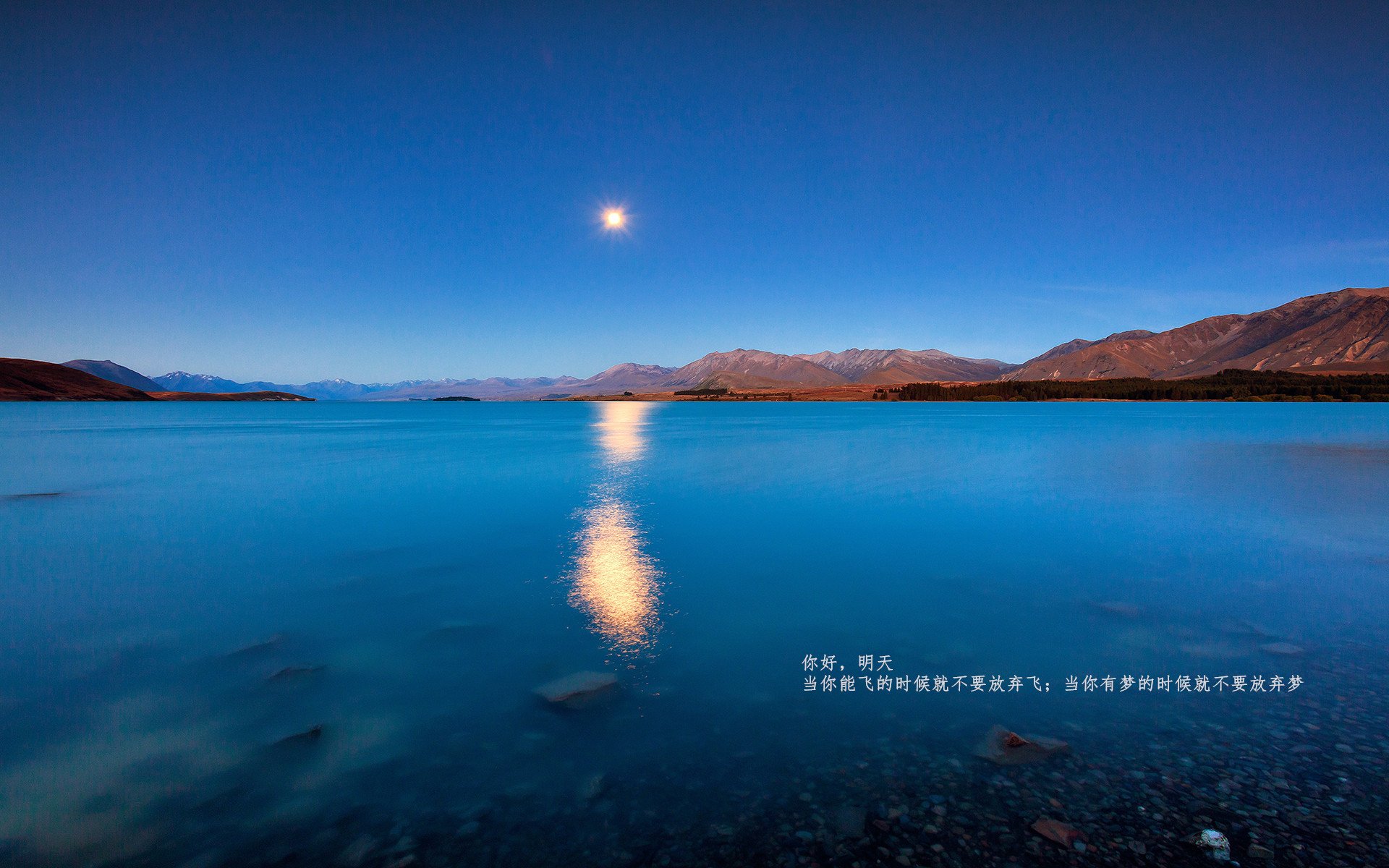 勒沃库森传控节奏把握日益成熟，勒沃库森比赛视频聚胜顽球汇