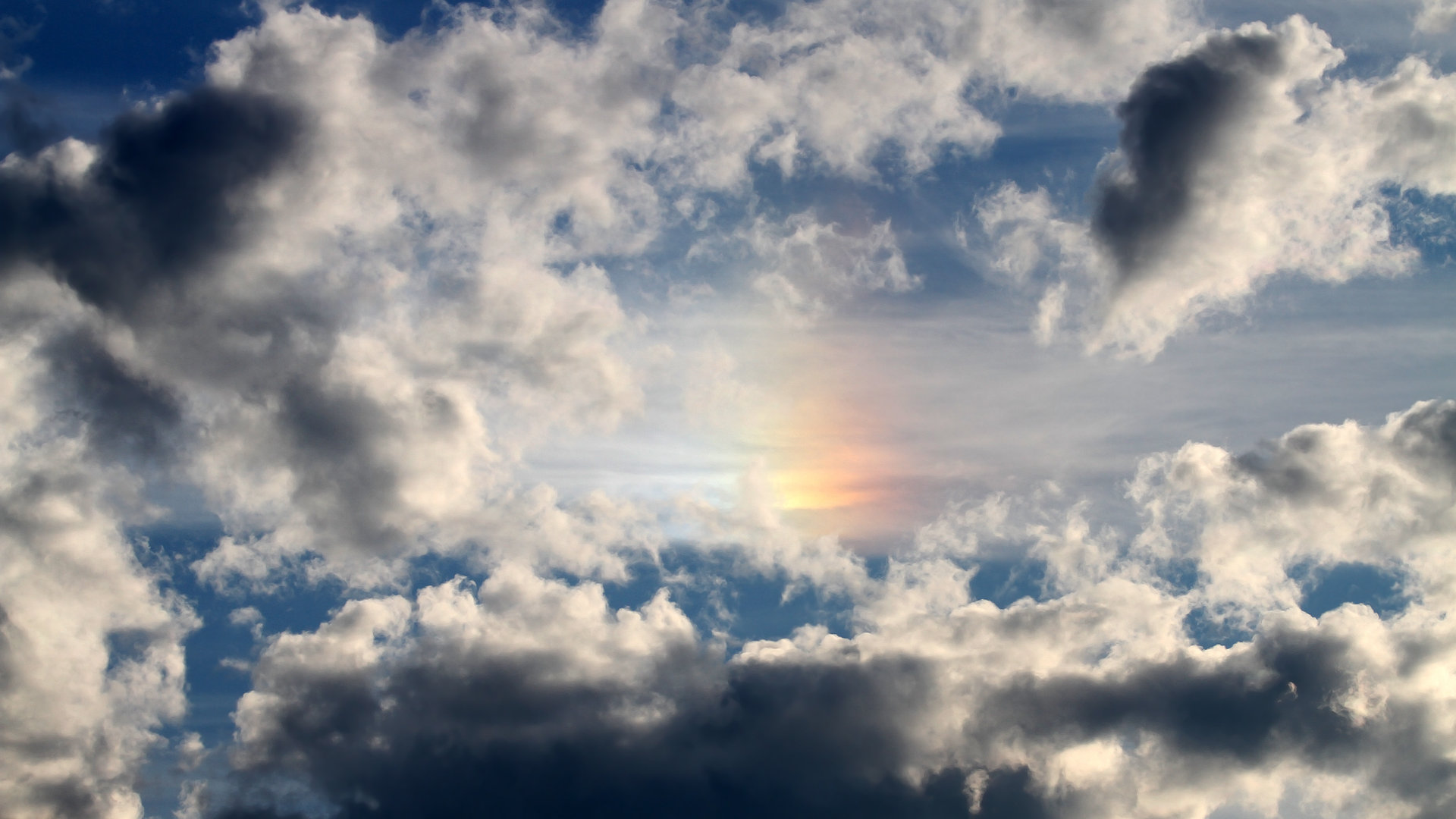 乐鱼电竞在线平台-布莱顿快速轮转提升比赛节奏感，布莱顿阵型