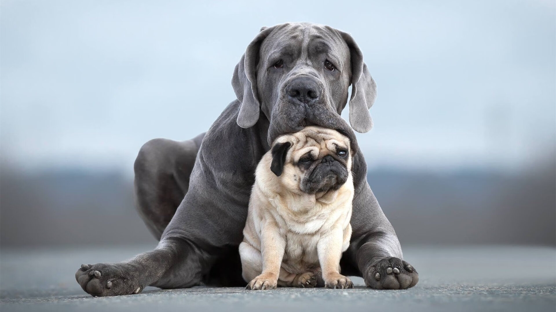 Leyu Sports (乐鱼体育)-禁区传切配合中的默契建立方式，禁区内传递球有越位吗