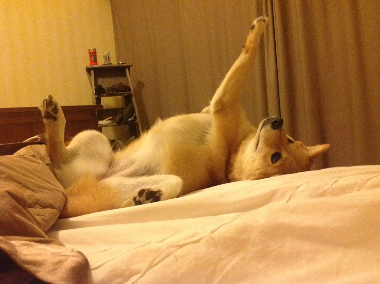 塔图姆打破得分荒连续三场三十分以上，塔图姆总得分