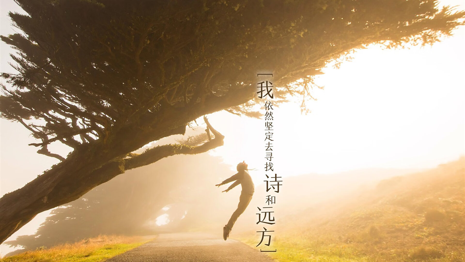 意甲速度激情：突破防线时刻让人惊叹！，意甲纪录